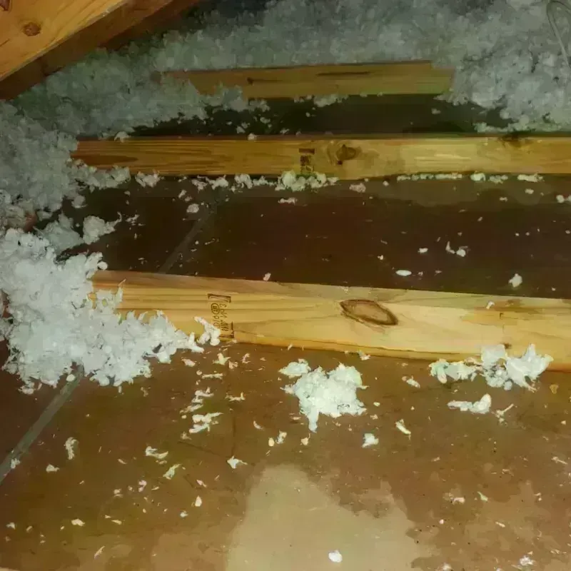 Attic Water Damage in Weddington, NC